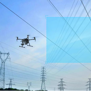 输电线异物识别